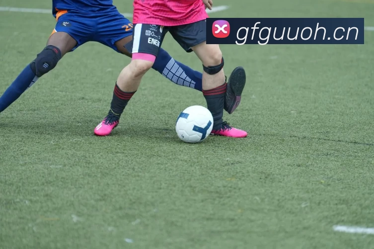 滚球买球的app平台生态图